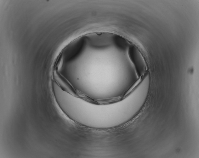 X0000095131528200712301812