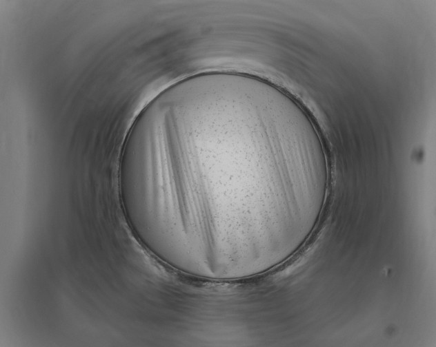 X0000095131529200712301812