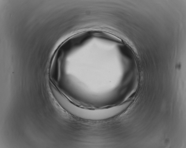 X0000095131530200712301812