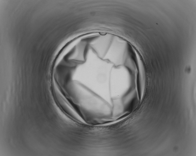 X0000095131531200712301812