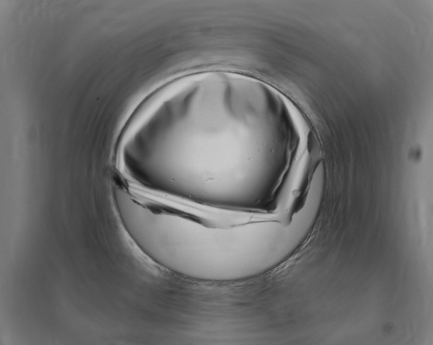 X0000095131532200712301812