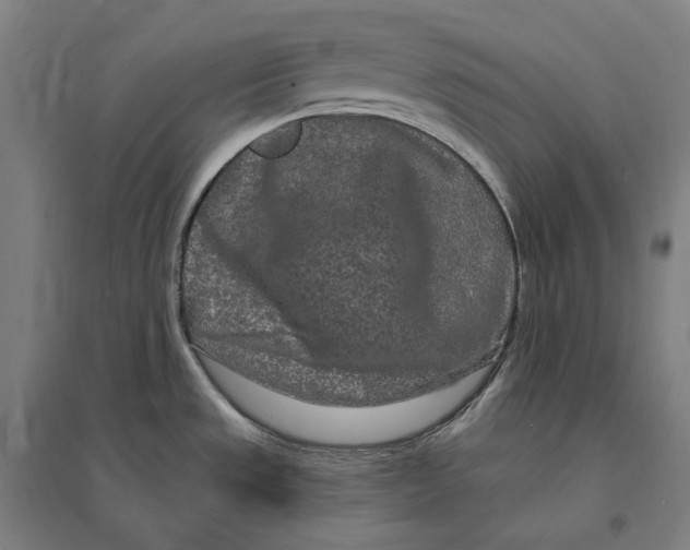 X0000095131533200712301812