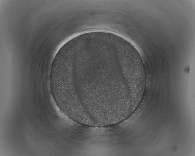 X0000095131534200712301812