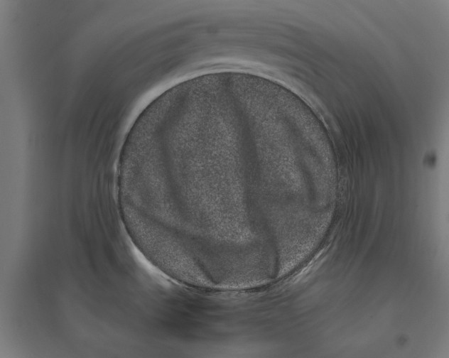 X0000095131535200712301812