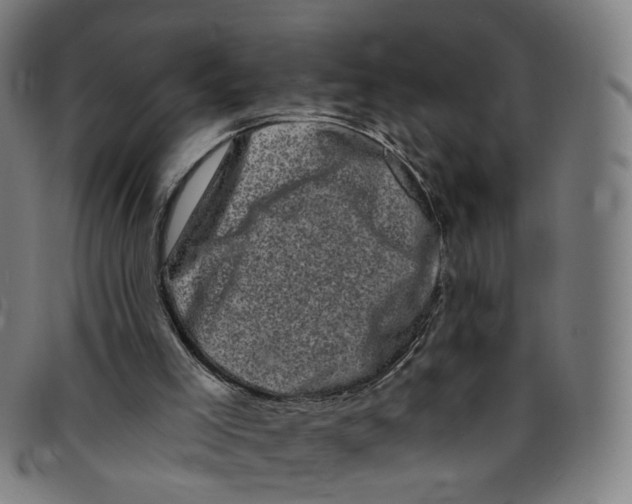 X0000095130005200801041258