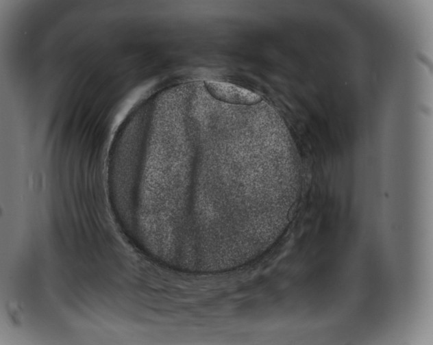 X0000095130006200801041257