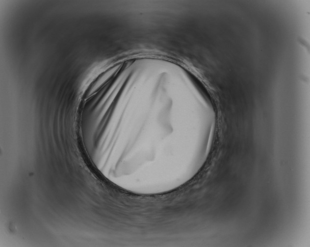 X0000095130007200801041257