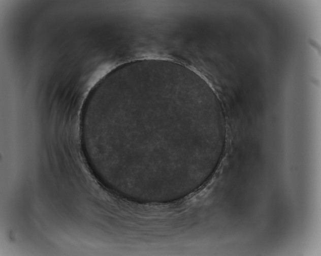 X0000095130008200801041257