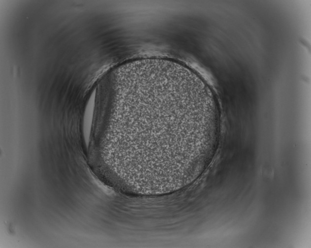 X0000095130009200801041257