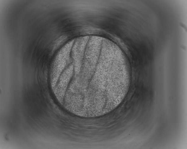 X0000095130010200801041257