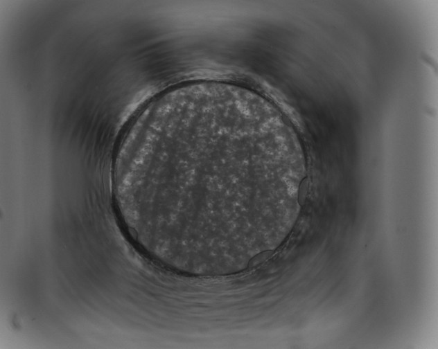 X0000095130011200801041257