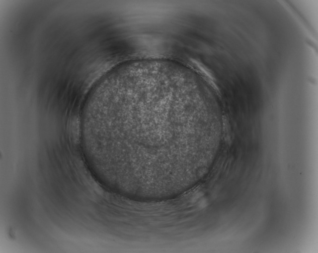 X0000095130012200801041257