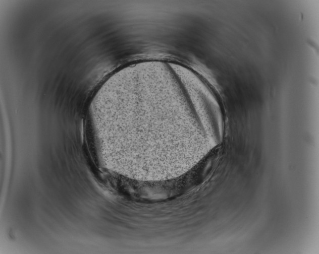 X0000095130013200801041257