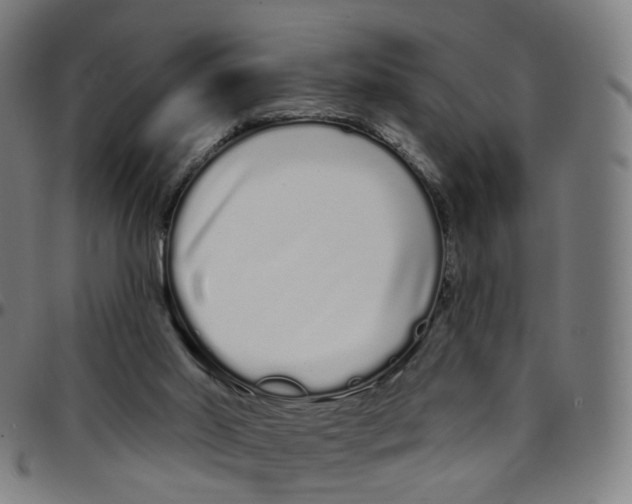 X0000095130014200801041257