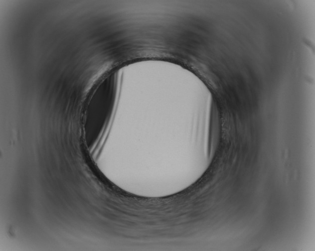 X0000095130015200801041257