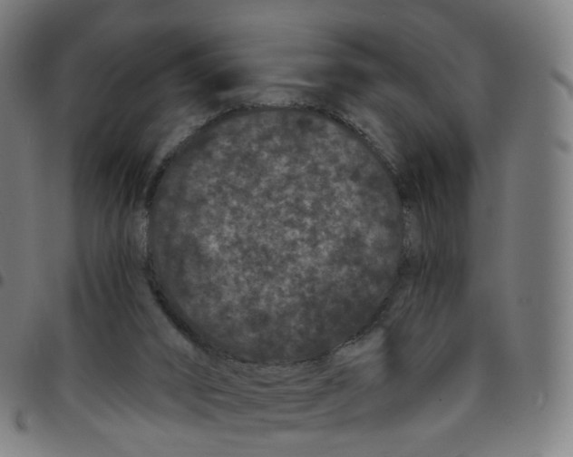 X0000095130016200801041257