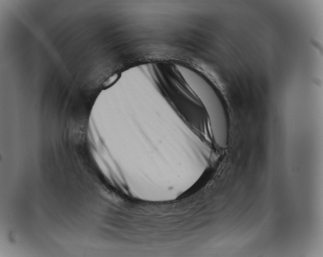 X0000095130017200801041257