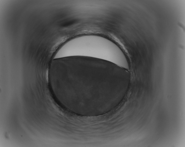 X0000095130019200801041257