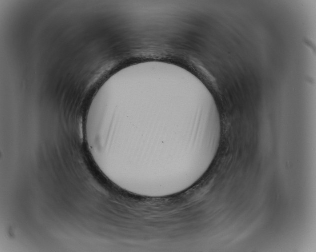 X0000095130020200801041257