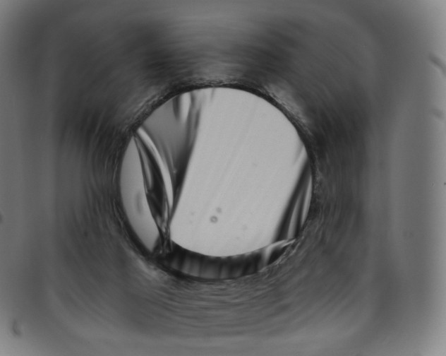 X0000095130021200801041257