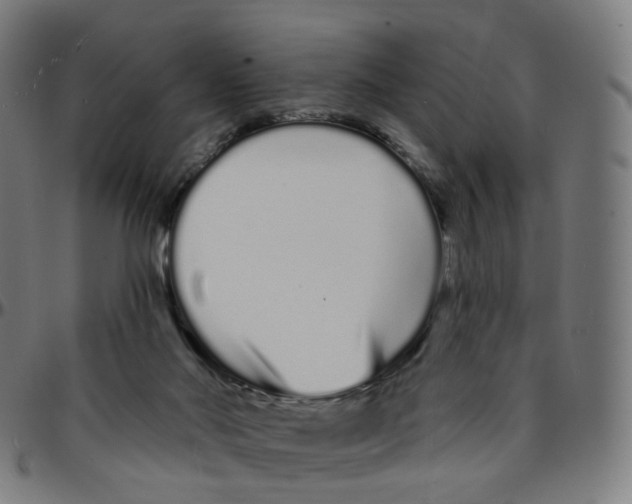 X0000095130022200801041257