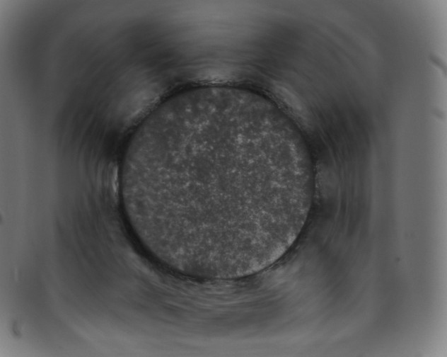 X0000095130024200801041257