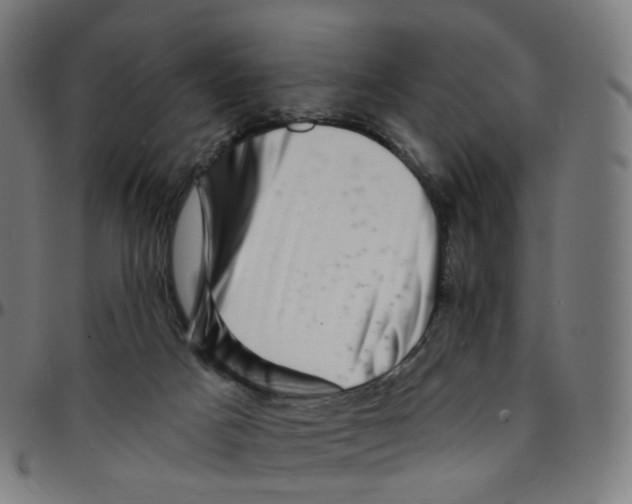 X0000095130025200801041257