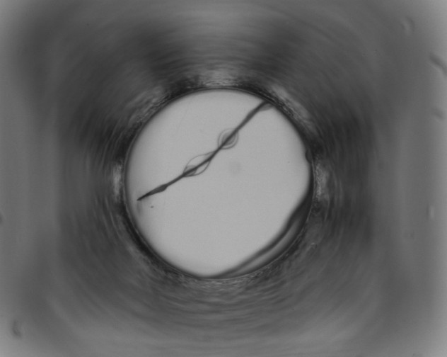 X0000095130026200801041257