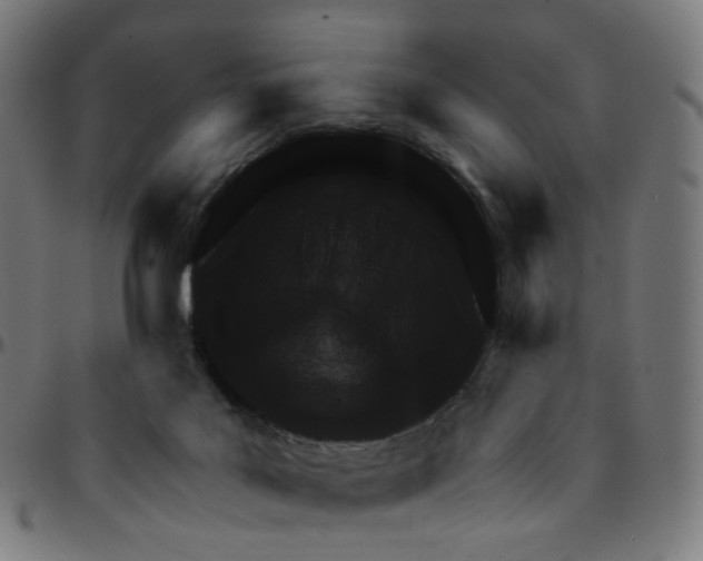 X0000095130027200801041257