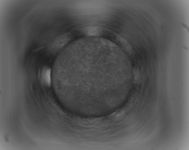 X0000095130028200801041257