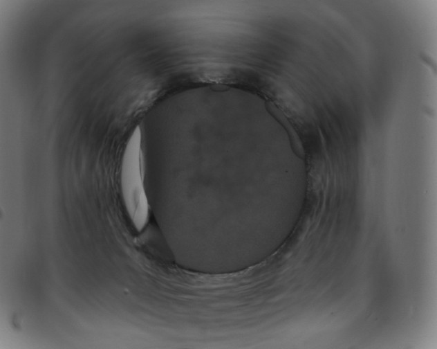 X0000095130031200801041257