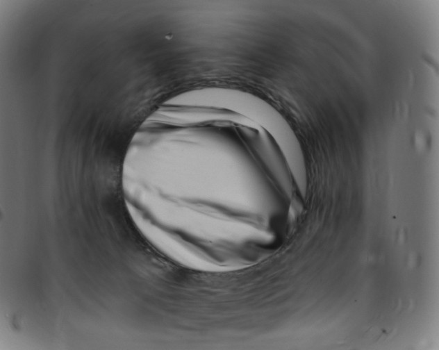 X0000095130033200801041257