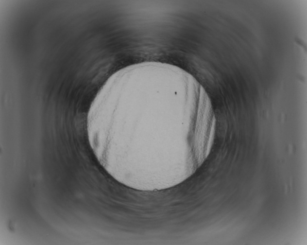 X0000095130034200801041257