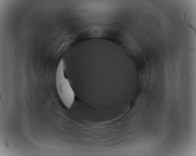 X0000095130035200801041257