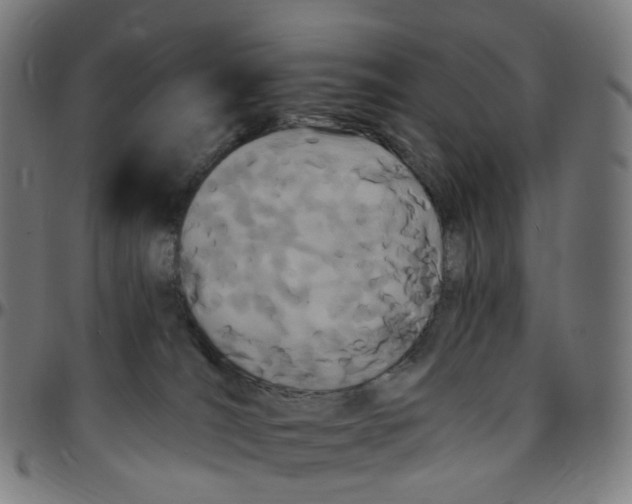 X0000095130036200801041257