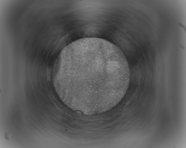 X0000095130038200801041257