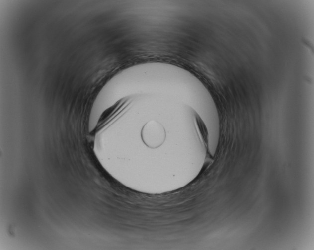 X0000095130039200801041257