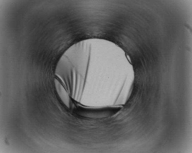 X0000095130040200801041257