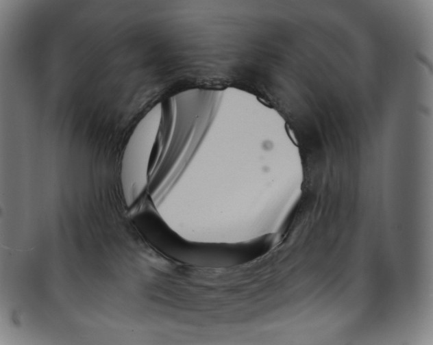 X0000095130041200801041257