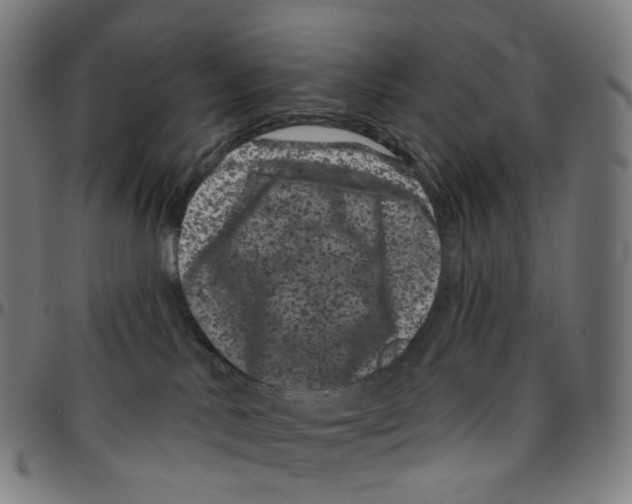 X0000095130042200801041257