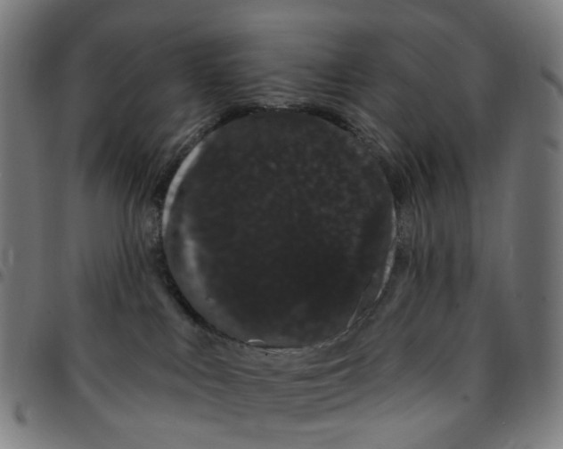 X0000095130043200801041257