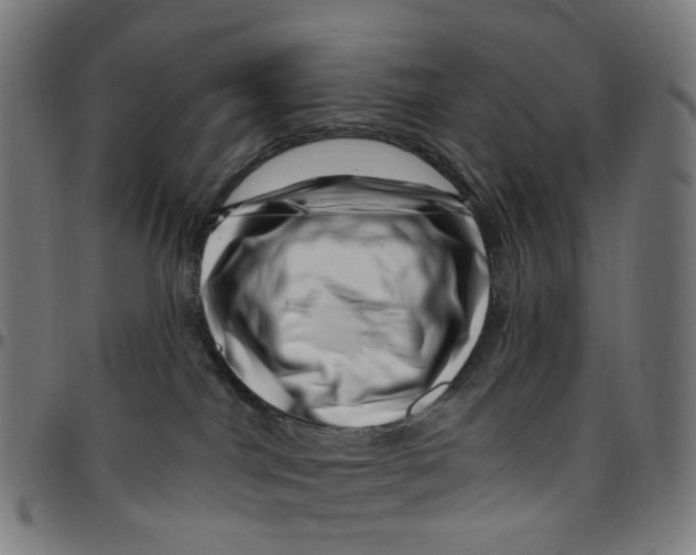 X0000095130044200801041257