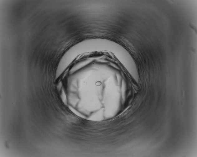 X0000095130045200801041257