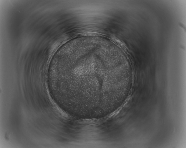 X0000095130049200801041256