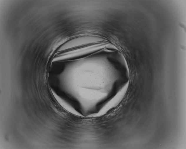 X0000095130050200801041256