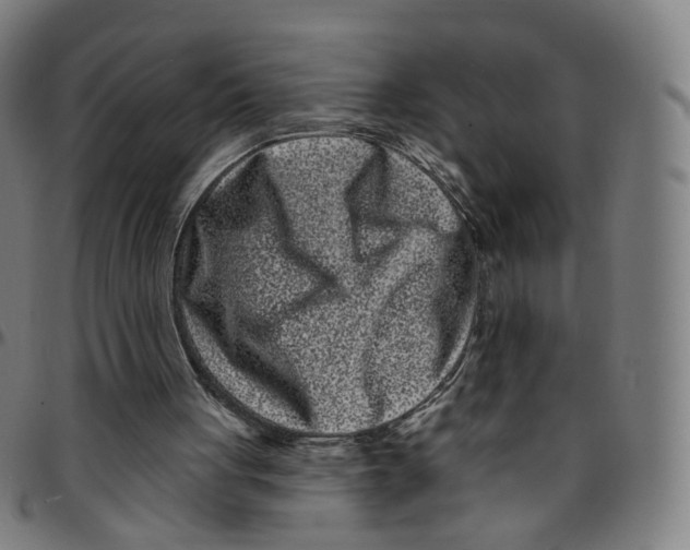 X0000095130051200801041256