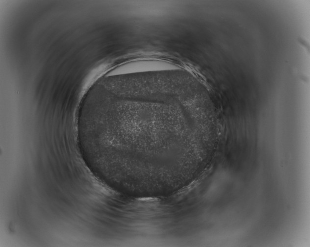 X0000095130053200801041256