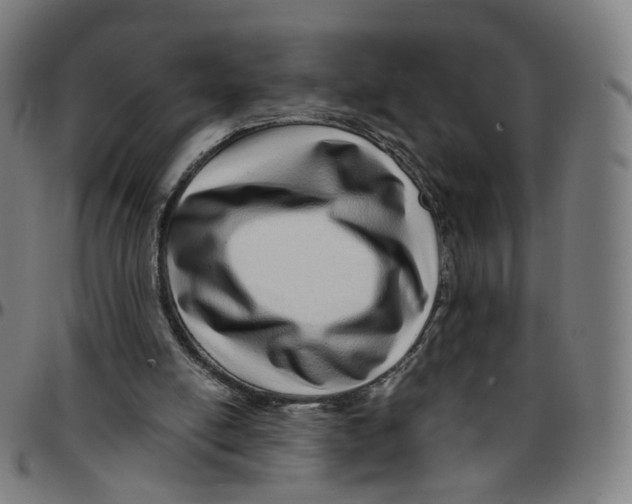 X0000095130054200801041256