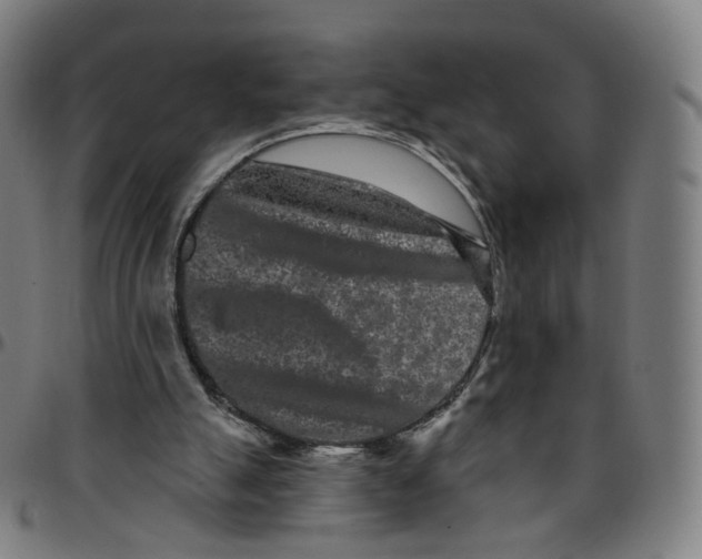 X0000095130055200801041256