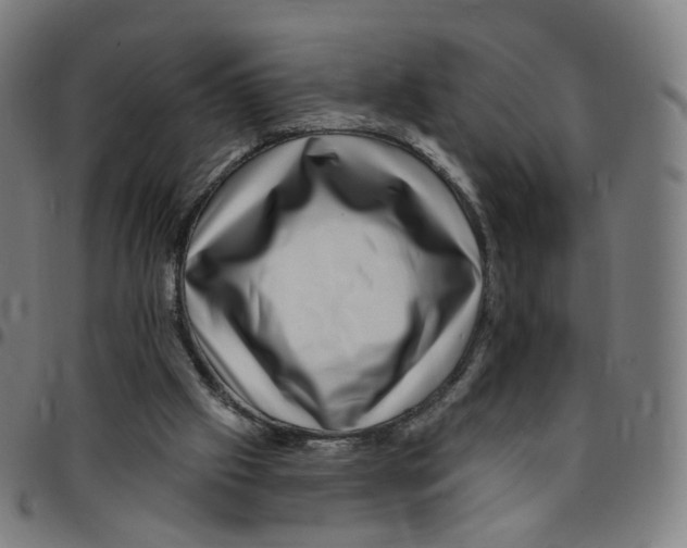 X0000095130057200801041256